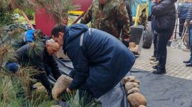 В республиканском субботнике приняли участие тысячи солигорчан. Как проходит акция чистоты?