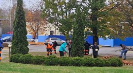 В республиканском субботнике приняли участие тысячи солигорчан. Как проходит акция чистоты?