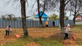 В республиканском субботнике приняли участие тысячи солигорчан. Как проходит акция чистоты?