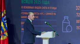 В нашей стране делается все необходимое, чтобы молодые специалисты могли самореализоваться как личности и профессионалы