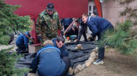 В республиканском субботнике приняли участие тысячи солигорчан. Как проходит акция чистоты?