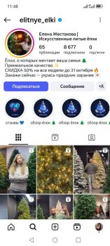 Минус 730 рублей. Солигорчанка хотела элитную елку, но осталась без новогодней покупки и денег