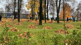 Республиканский субботник проходит в Солигорске. Работы ведутся в сквере «Молодость»