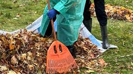 Республиканский субботник проходит в Солигорске. Работы ведутся в сквере «Молодость»