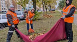 В республиканском субботнике приняли участие тысячи солигорчан. Как проходит акция чистоты?