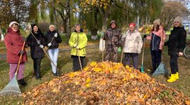 В республиканском субботнике приняли участие тысячи солигорчан. Как проходит акция чистоты?