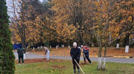 В республиканском субботнике приняли участие тысячи солигорчан. Как проходит акция чистоты?