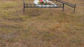 В республиканском субботнике приняли участие тысячи солигорчан. Как проходит акция чистоты?