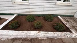 В республиканском субботнике приняли участие тысячи солигорчан. Как проходит акция чистоты?