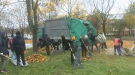 Молодежь вышла на субботник! Работы ведутся в парке Четырех стихий