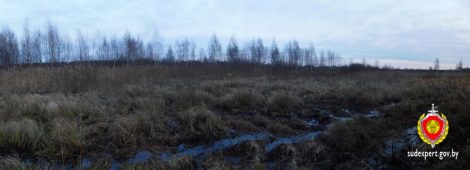 Судебные эксперты выяснили, что стало причиной смерти Максима Зеньковича