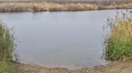 Рыбаки отжали пляж? Или никакого скандала не было?