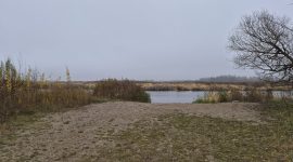 Рыбаки отжали пляж? Или никакого скандала не было?