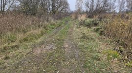 Рыбаки отжали пляж? Или никакого скандала не было?