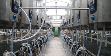 "Особое внимание развитию АПК. Запланировано строительство более 200 молочно-товарных и 5 крупных свиноводческих комплексов, а также теплиц и овощехранилищ", - рассказал Александр Турчин. В Беларуси планируется построить второй завод по производству сульфатной целлюлозы Задача по экспорту продовольствия - $10-12 млрд к концу следующей пятилетки.