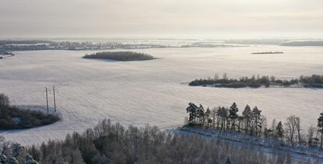 "Поля Беларуси на 68% засеяны отечественной селекцией". Ученый НАН о новых сортах