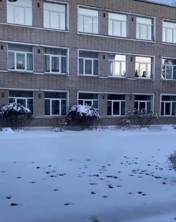 летучие мыши возле гимназии №1