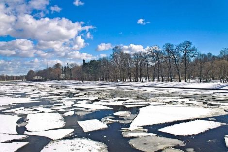 000022_1774254963_771242_big