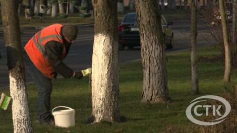 Солигорск продолжает весеннее обновление