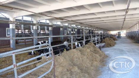 21 марта пройдет субботник по наведению порядка на объектах сельхозпредприятий