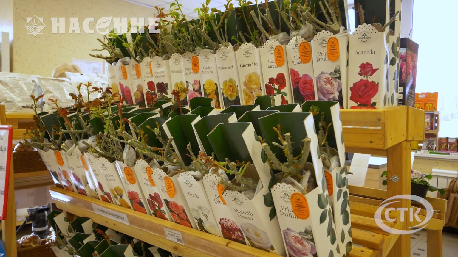 Забота о хорошем урожае начинается с магазина "Насенне"