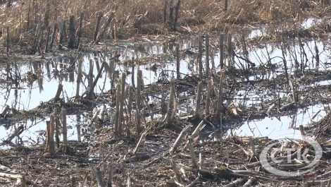 Весеннее половодье: обстановка в Солигорском районе