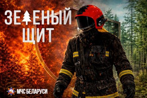 С 28 марта по 1 апреля на территории Солигорского района пройдёт специальное профилактическое мероприятие «Зелёный щит»