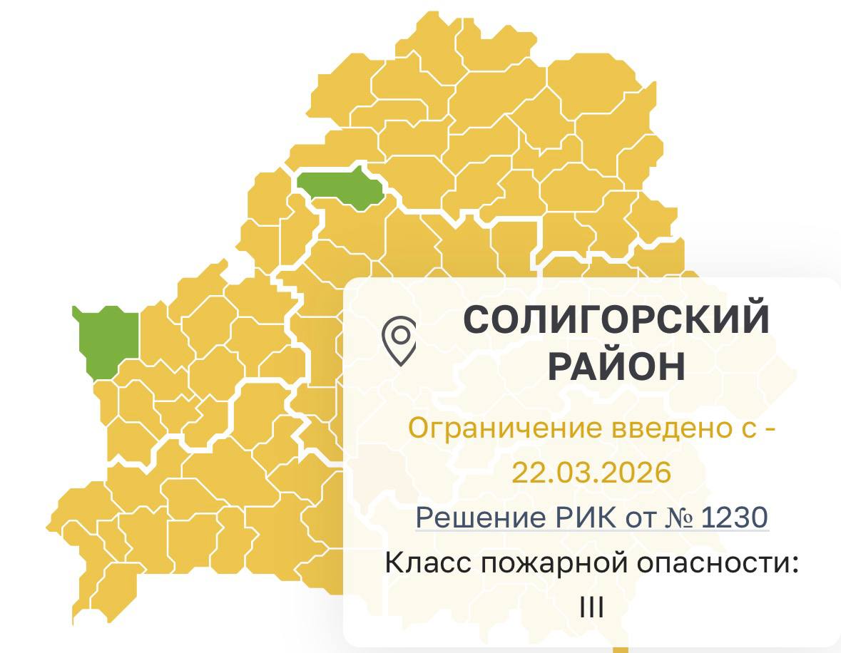 Ограничения на посещение лесов действуют практически на всей территории Беларуси. А в Солигорском районе?