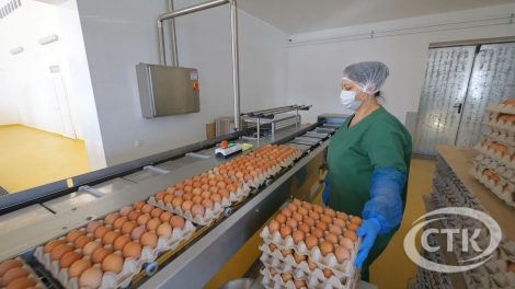 Солигорской птицефабрике - 55. От первых шагов в становлении предприятия до современного автоматизированного производства с уникальной продукцией. Как развивалась Солигорская птицефабрика, каких высот достигла и какие планы строит на перпективу - смотрите в фильме СТК.