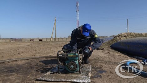 Студенты оказывают помощь в сельхозработах