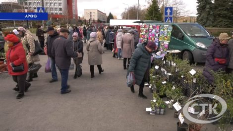 За весенним настроением и нужными товарами! Когда пройдут ярмарки в Солигорске?