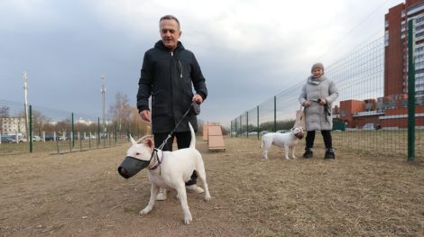 Как будут вычислять тех, кто не платит налог на собак, и куда пойдут собранные деньги?
