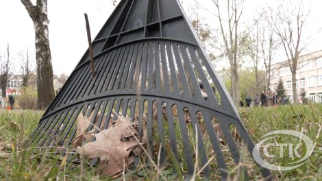 Республиканский субботник в деле: как Солигорск приводили в порядок