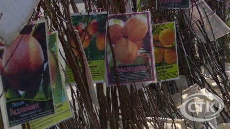 Сезон весенних ярмарок стартует на Солигорщине