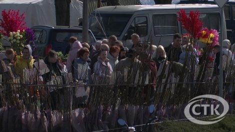 Весенний размах: солигорская ярмарка порадовала саженцами и вкусной едой