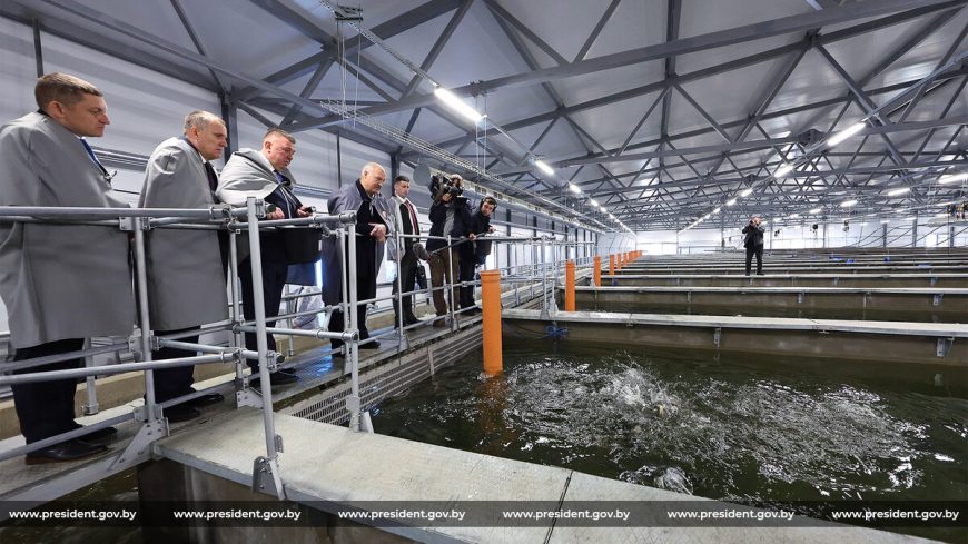 Александр Лукашенко совершает рабочую поездку в Краснопольский район Могилевской области. Какие предприятия посещает Президент?