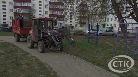 В Солигорске высадят 20 000 цветов