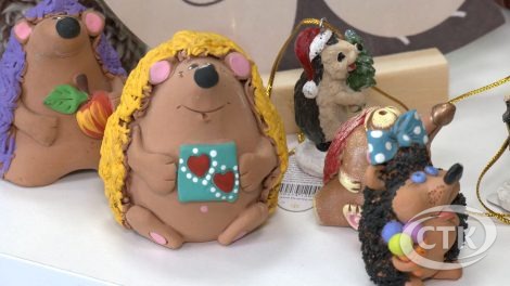 В Солигорске открылась «Колючая» выставка личной коллекции Илоны Шаблыко