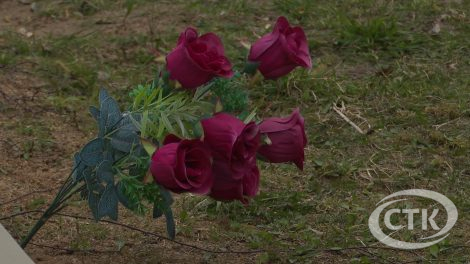 Живая память: почему на Радоницу нужно выбирать живые цветы вместо пластиковых?