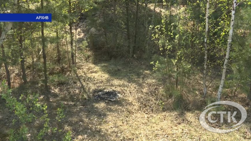 Пожароопасный сезон: сотрудники МЧС проводят профилактические рейды