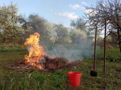 Как правильно сжигать мусор на участке? Рассказывает МЧС