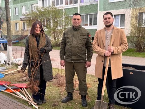 20 000 цветов, высадка деревьев и фитокомпозиции. Месячник благоустройства в Солигорском районе продолжается