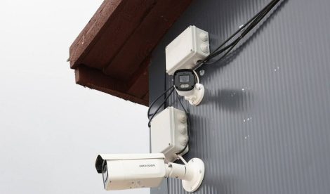 Губернатор о цифровизации животноводческих объектов: Не свести к формализму