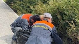 Республиканский субботник. В Солигорском районе работа кипит в каждом уголке. Большой фоторепортаж