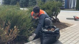 Республиканский субботник. В Солигорском районе работа кипит в каждом уголке. Большой фоторепортаж