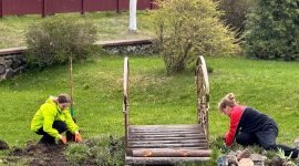 Как прошел республиканский субботник в агрогородке Долгое? Фоторепортаж