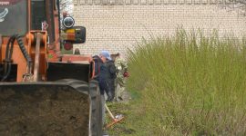 Как прошел республиканский субботник в агрогородке Долгое? Фоторепортаж