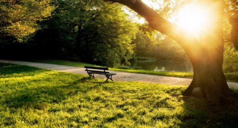 Последние три года стали самыми теплыми на Земле за всю историю метеонаблюдений