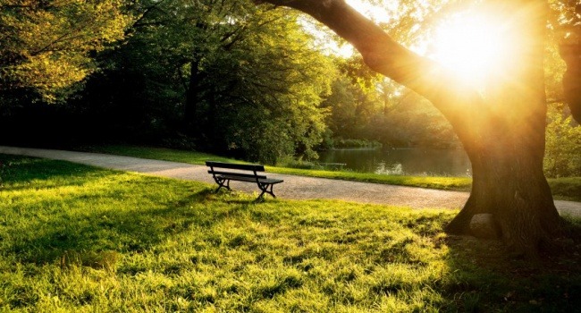 Последние три года стали самыми теплыми на Земле за всю историю метеонаблюдений