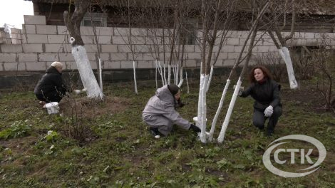 В преддверии 81-й годовщины Великой Победы стартовала трогательная акция – «Тепло и свет нашим ветеранам»